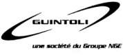 Logo Guintoli